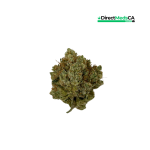 Buddha Bros Exclusives - Dynasty OG