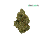 Buddha Bros Exclusives - Jackfruit