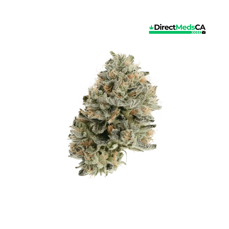 Cannabiotix – Grape Gasby