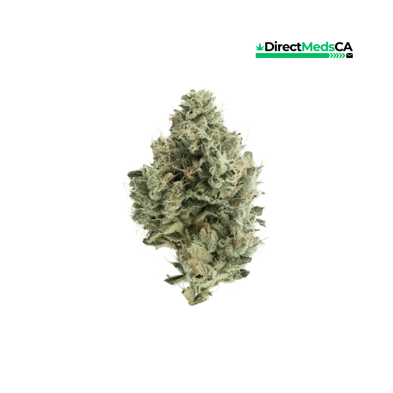 Cannabiotix – Jet Lag OG