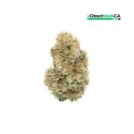 Cannabiotix - L'Orange
