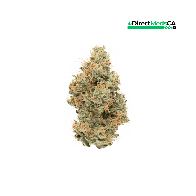 Cannabiotix – Tropicanna