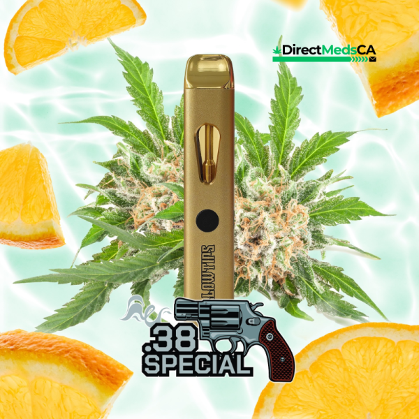 HollowTips (2g) - .38 Special - Image 2