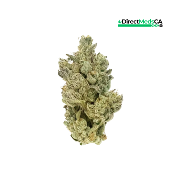 Cannabiotix - Gluetopia