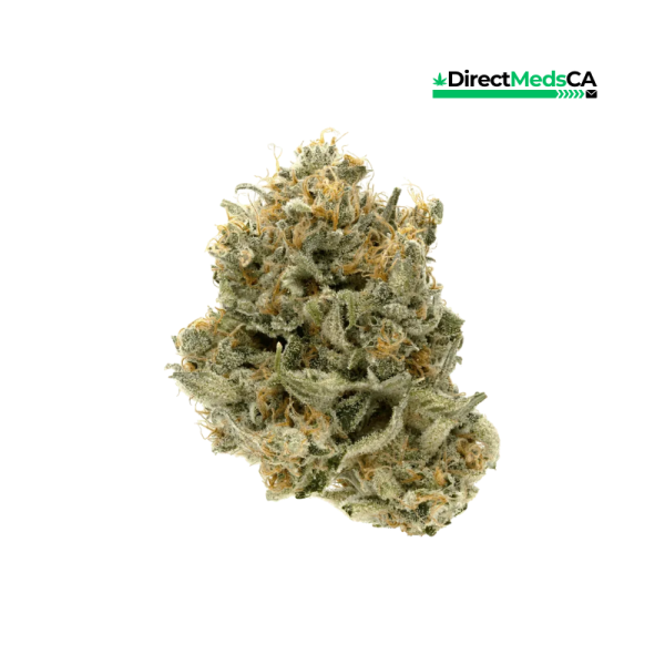 Cannabiotix - Mountain Sage
